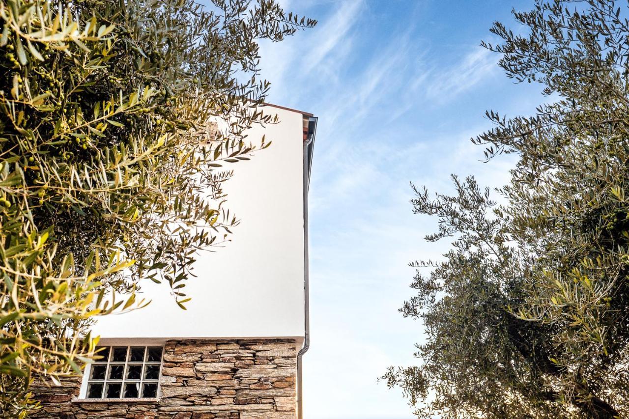 발렌카도두오로 Casa Com Piscina No Coracao Do Douro - Domaine Casa Valenca, 빌라 외부 사진