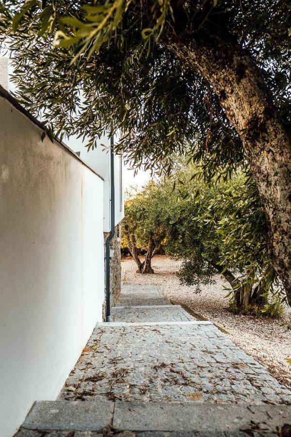 발렌카도두오로 Casa Com Piscina No Coracao Do Douro - Domaine Casa Valenca, 빌라 외부 사진