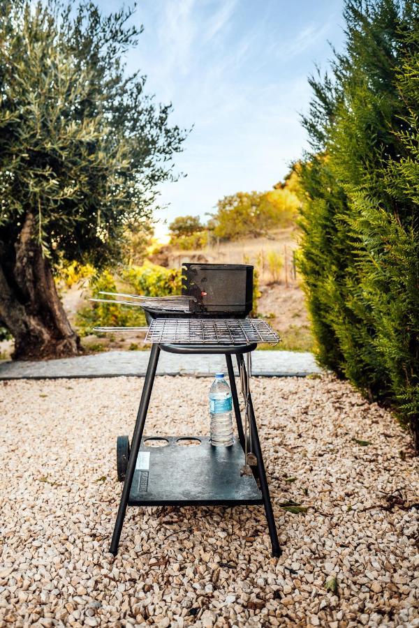 발렌카도두오로 Casa Com Piscina No Coracao Do Douro - Domaine Casa Valenca, 빌라 외부 사진