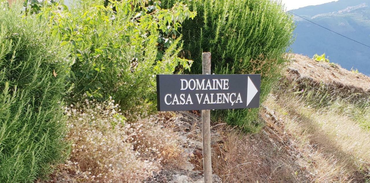 발렌카도두오로 Casa Com Piscina No Coracao Do Douro - Domaine Casa Valenca, 빌라 외부 사진